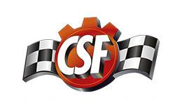 CSF
