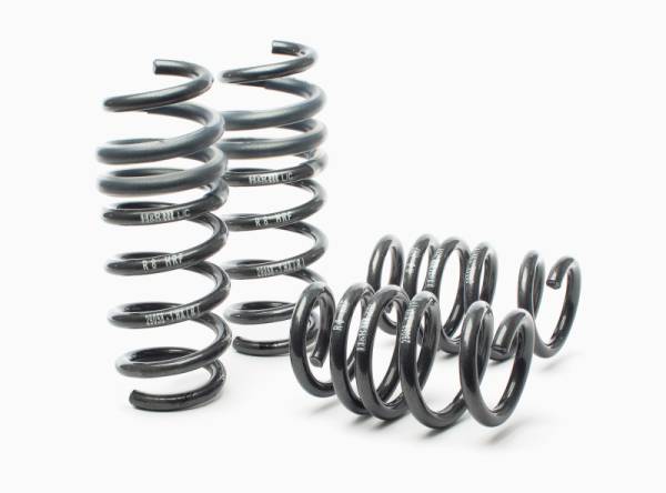 H&R - H&R 08-15 Audi R8/R8 Cabrio V8/V10 Sport Spring - 29058-1