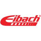 Eibach - Eibach Pro-Plus Kit Ford Mustang S197 05-10 Coupe/Convertible V8 & 2010 V6 Coupe/Convertible - 35101.880