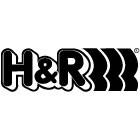 H&R - H&R 11-14 Dodge Challenger RT/SRT8 V8 Sport Spring (w/o Nivomat) - 50888